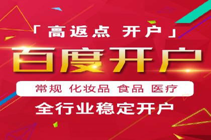 百度竞价排名策略解析：一家公司的广告投放策略全揭秘
